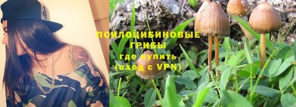jwh Бородино