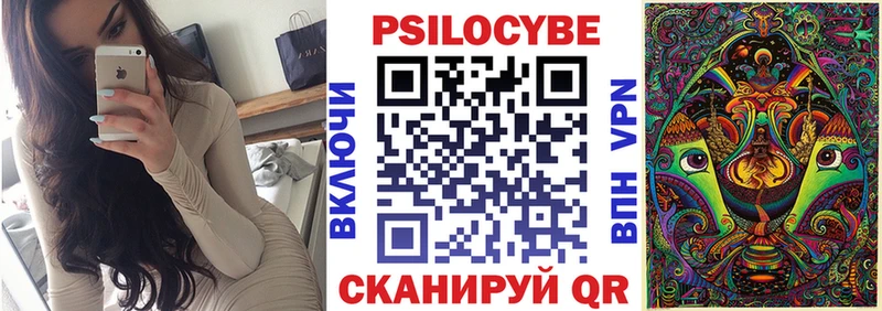 купить наркоту  Гороховец  Псилоцибиновые грибы Magic Shrooms 